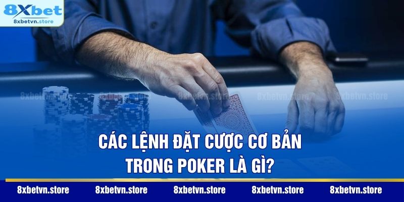 Các lệnh đặt cược cơ bản trong Poker là gì?